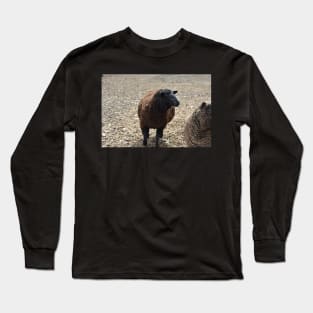 Sheep Long Sleeve T-Shirt